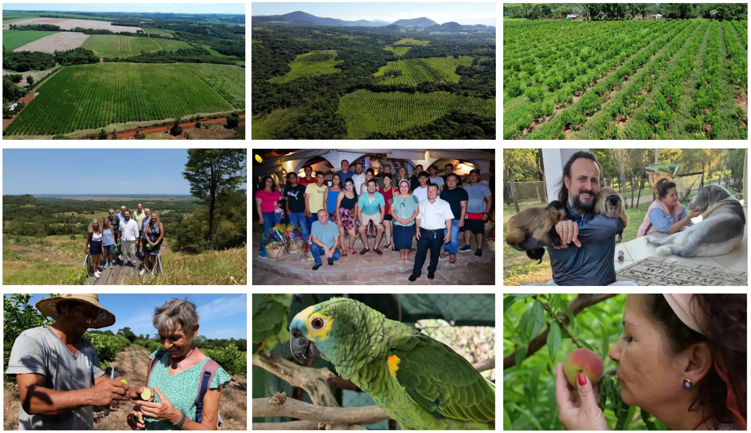 Impressionen der Bio-Liegenschaften in Paraguay